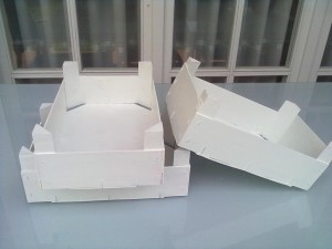 Cajitas-2