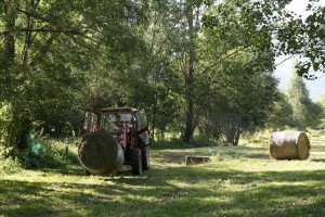 9465_Camping