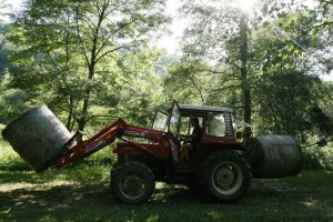 9466_Camping